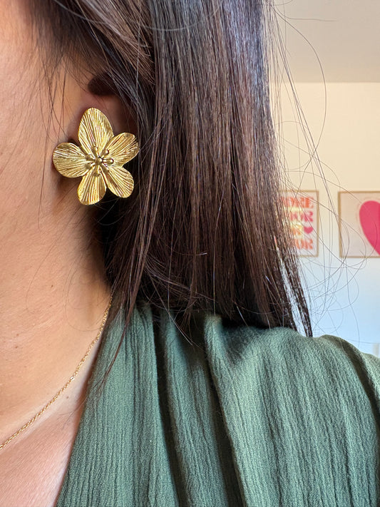 Boucles Alizée